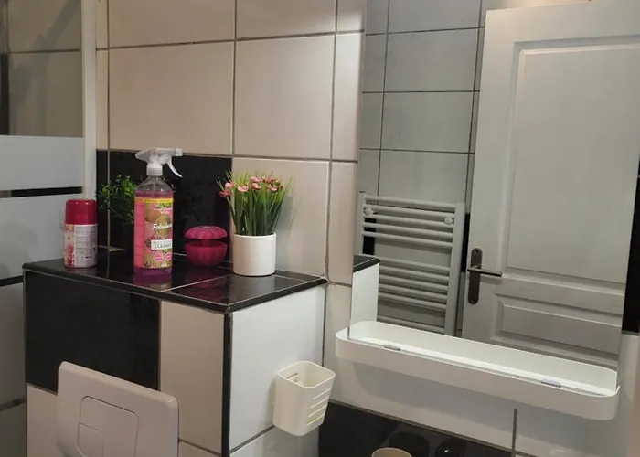 아파트 Joli Nid Douillet 레소리니에레