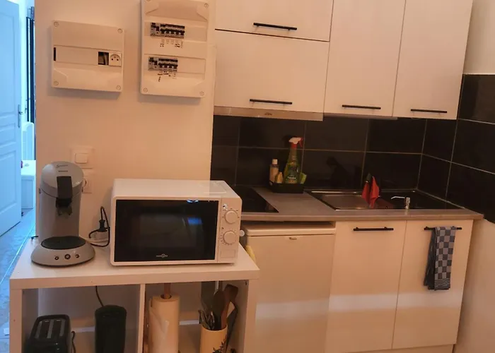 Joli Nid Douillet 레소리니에레